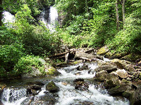 100_0333.jpg