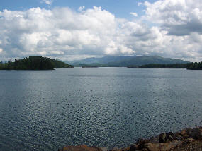 100_0390.jpg